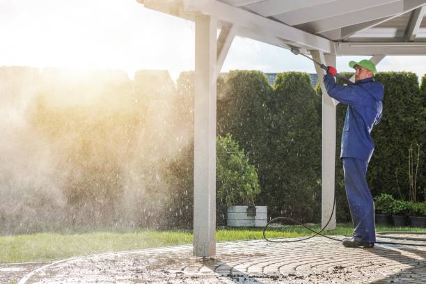 Best Sidewalk and Walkway Cleaning  in Richmond, KY